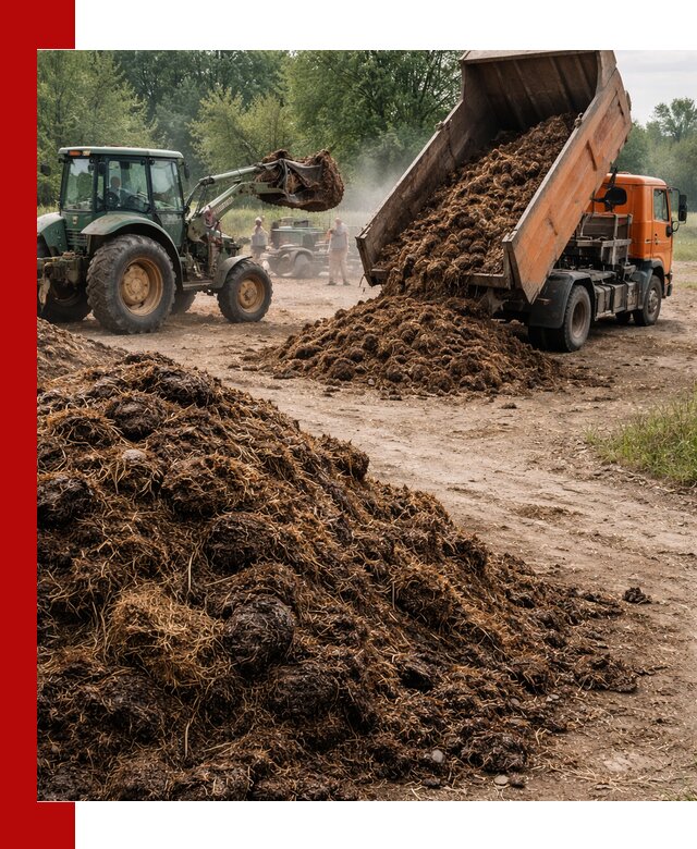 Доставка навоза самосвалами в Дальнегорске для сельхозпотребностей